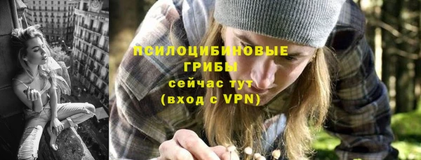 гашик Абаза
